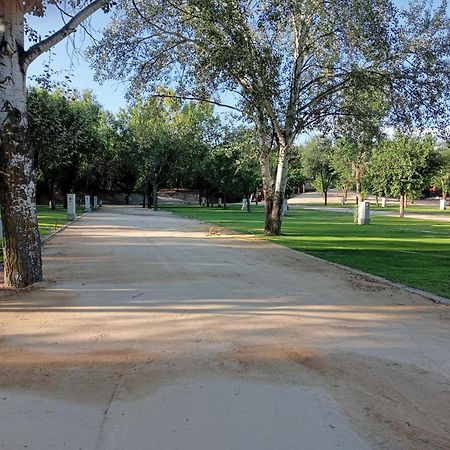 Complejo La Cigueena Arganda Del Rey Kültér fotó